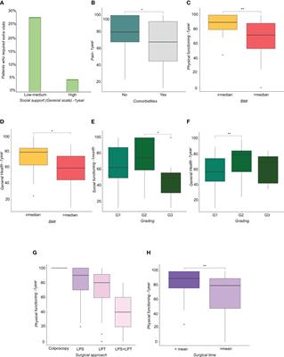 Perceived social support and quality of life in endometrial cancer patients: a longitudinal study